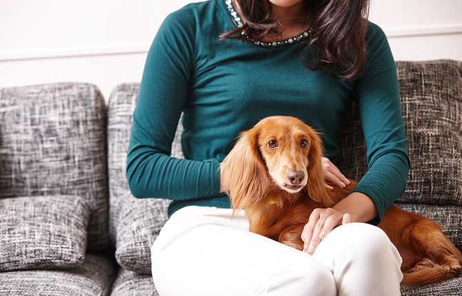 暮らしで知るヘーベルメゾン