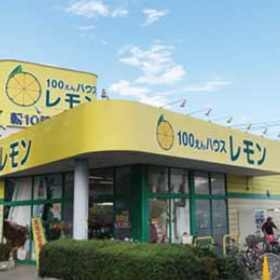 100円ハウスレモン