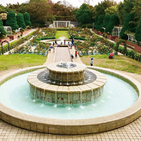 フラワーガーデン