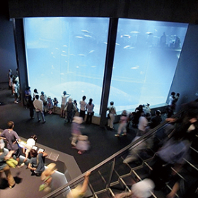 葛西臨海水族園