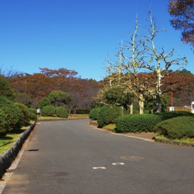 久良岐公園