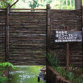 名水百選