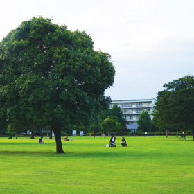 武蔵国分寺公園