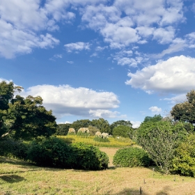 国営昭和記念公園