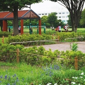 武蔵野中央公園