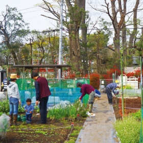 南荻窪区民農園
