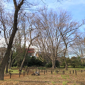 西本村憩いの森