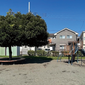 西大沼どんぐり公園