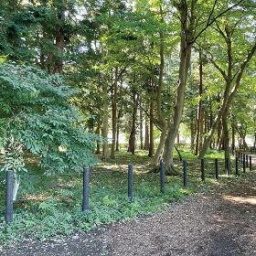 古淵鵜野森公園