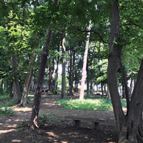 西初石ふれあいの森