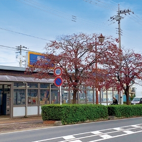 ビッグ・エー富士見鶴馬店