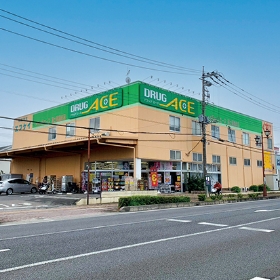 ドラッグエース