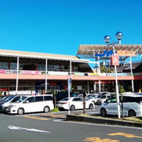 MrMax 湘南藤沢ショッピングセンター