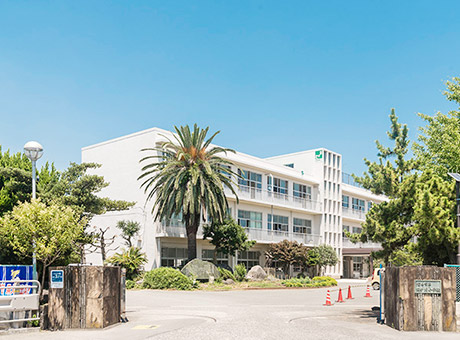 田子浦小学校