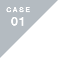 CASE 01