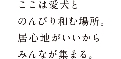 ここは愛犬とのんびり和む場所。居心地がいいからみんなが集まる。