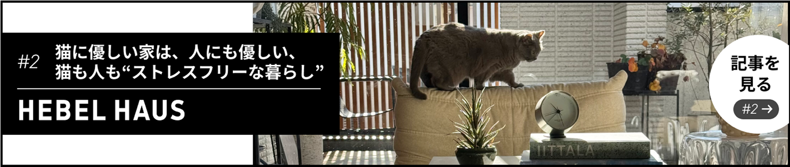 #2 猫に優しい家は、人にも優しい、猫も人も”ストレスフリーな暮らし” 記事を見る