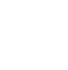 MERIT1