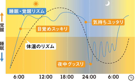 体のリズムと体温の図