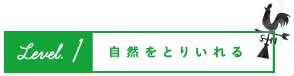 自然をとりいれる