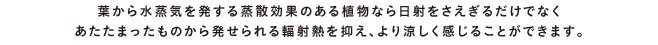 葉から水蒸気を発する蒸散効果のある植物なら日射をさえぎるだけでなくあたたまったものから発せられる輻射熱を抑え、より涼しく感じることができます。