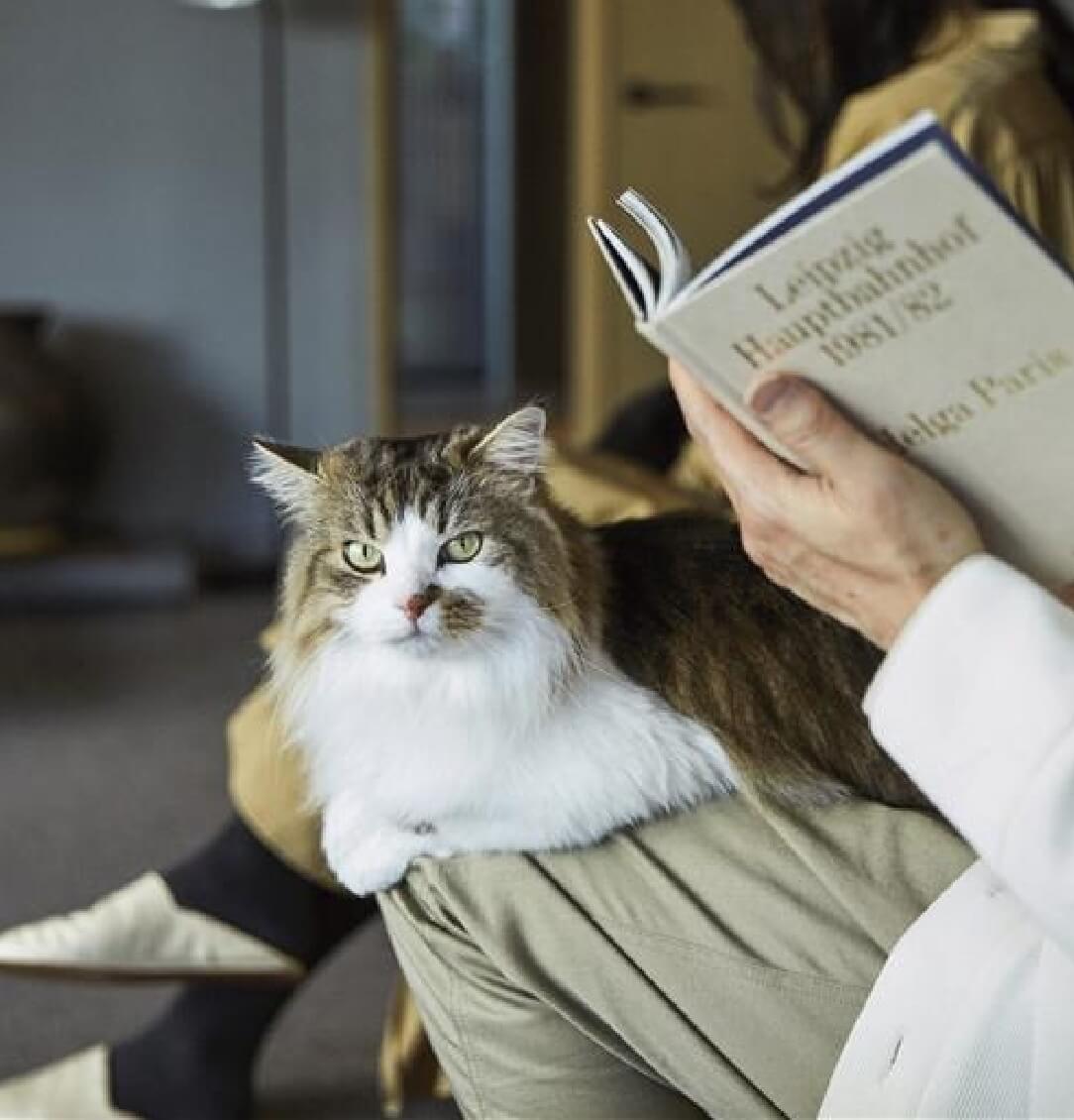 ペットは、かけがえのない家族の一員です。