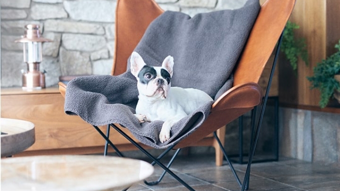 これまでの研究実績はこちら