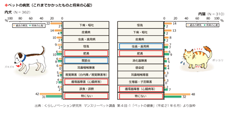 ペットの病気（これまでかかったものと将来の心配）