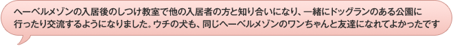 ヘーベルメゾンの入居後のしつけ教室で他の入居者の方と知り合いになり、一緒にドッグランのある公園に行ったり交流するようになりました。ウチの犬も、同じヘーベルメゾンのワンちゃんと友達になれてよかったです