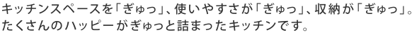 キッチンスペースを「ぎゅっ」、使いやすさが「ぎゅっ」、収納が「ぎゅっ」。たくさんのハッピーがぎゅっと詰まったキッチンです。