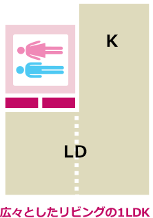 広々としたリビングの1LDK