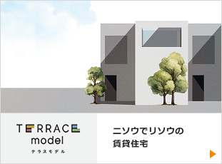 TERRACE model（テラス モデル）