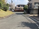 道路(西側)