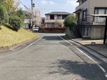 道路(西側)